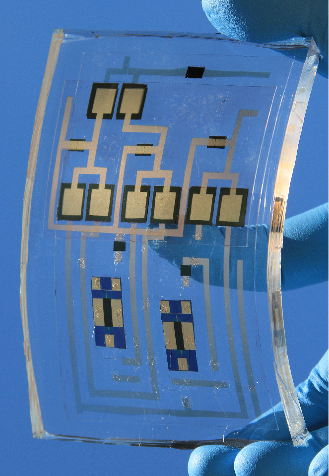 Graphical summary for Chemoelectronic circuits based on metal nanoparticles