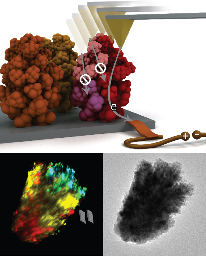 Graphical summary for Identifying champion nanostructures for solar water-splitting