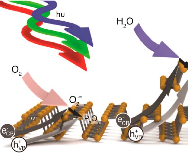 Graphical summary for Control of Surface and Edge Oxidation on Phosphorene